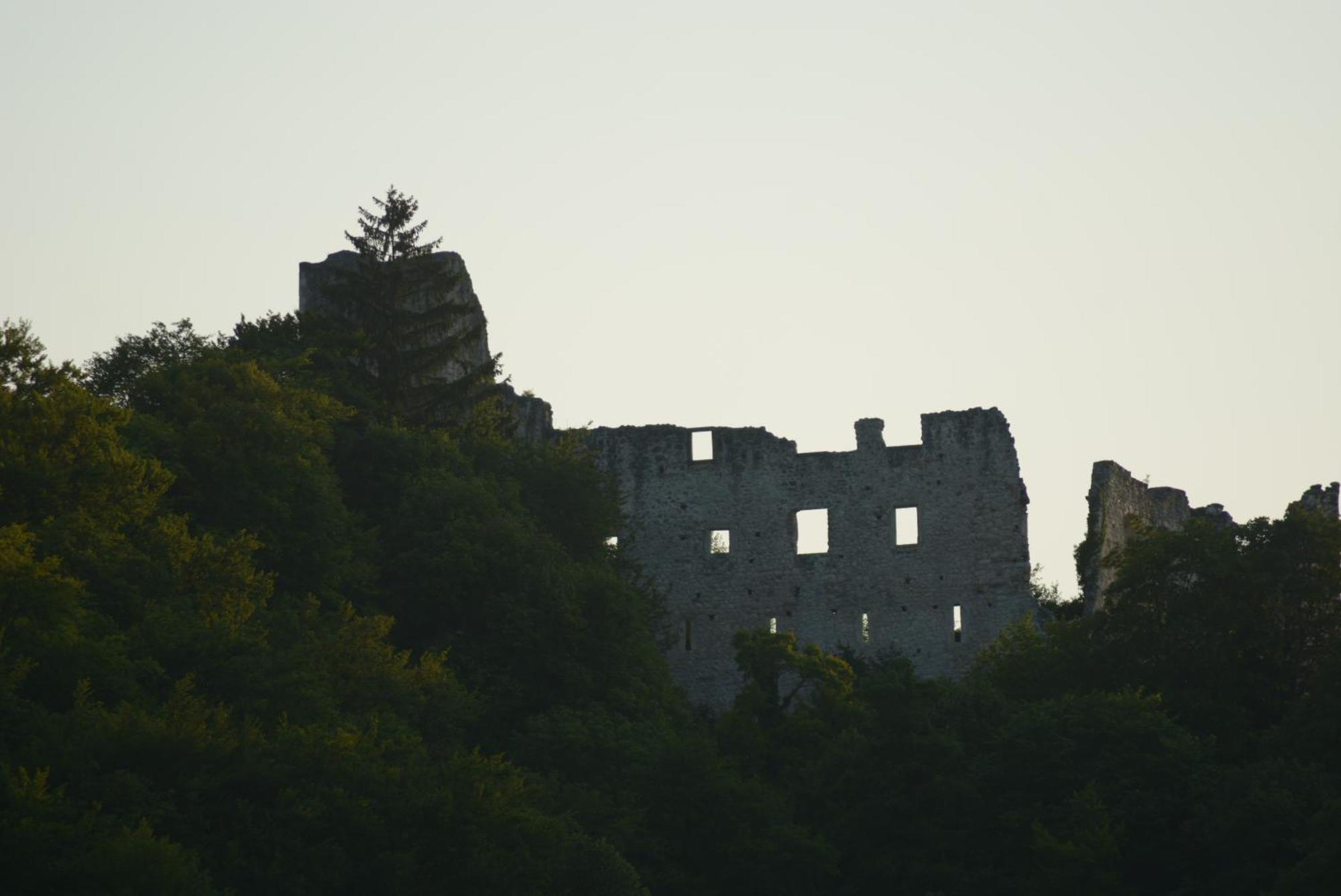 Studio Apartment Old Town Castle Samobor Eksteriør billede
