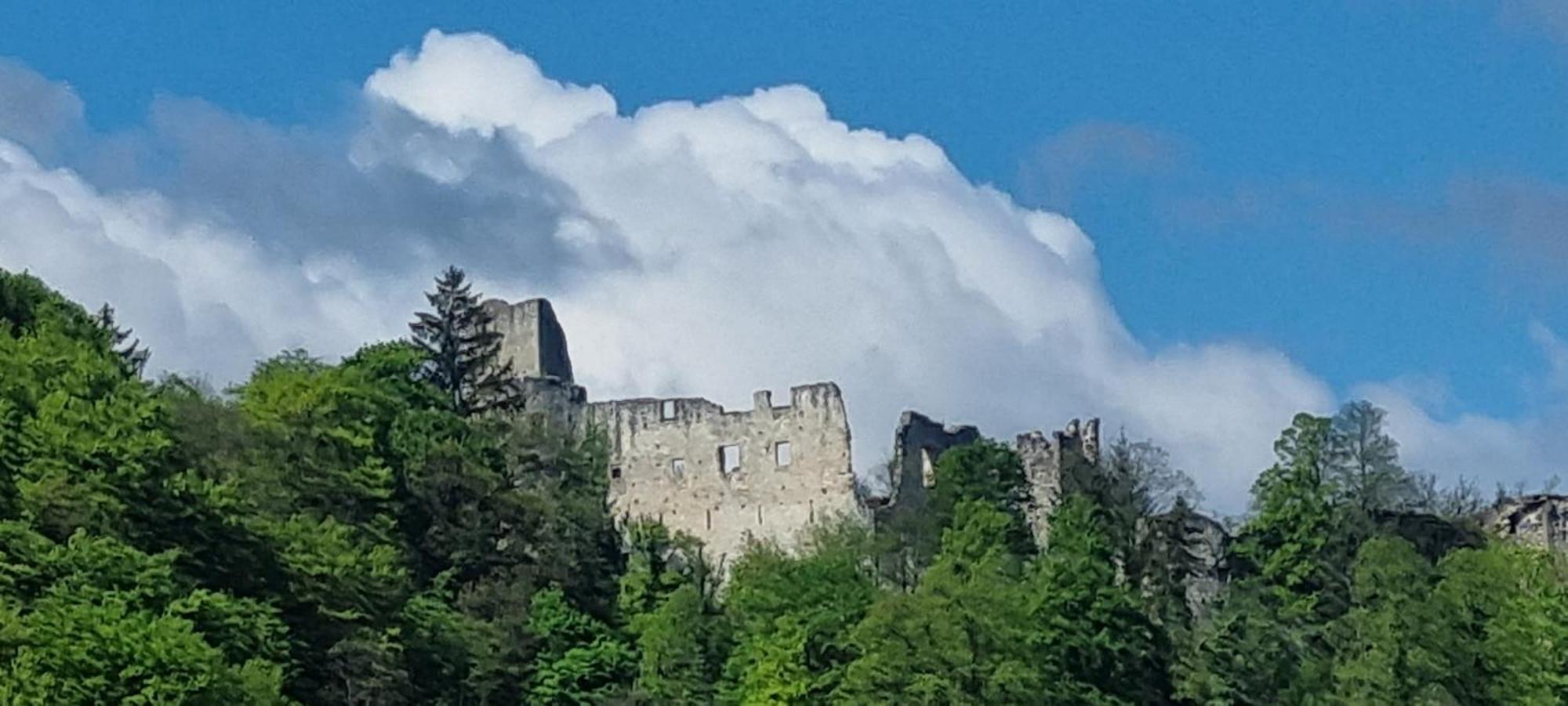 Studio Apartment Old Town Castle Samobor Eksteriør billede